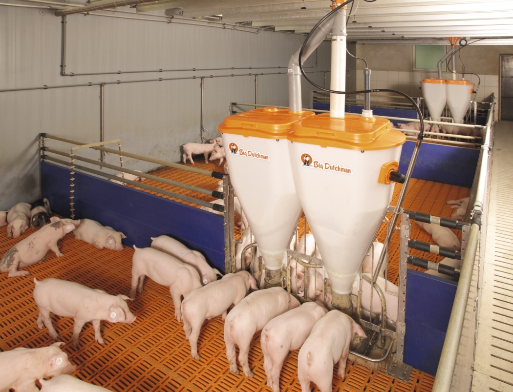 Pig Feeding Nursery/Finishing Big Dutchman USA