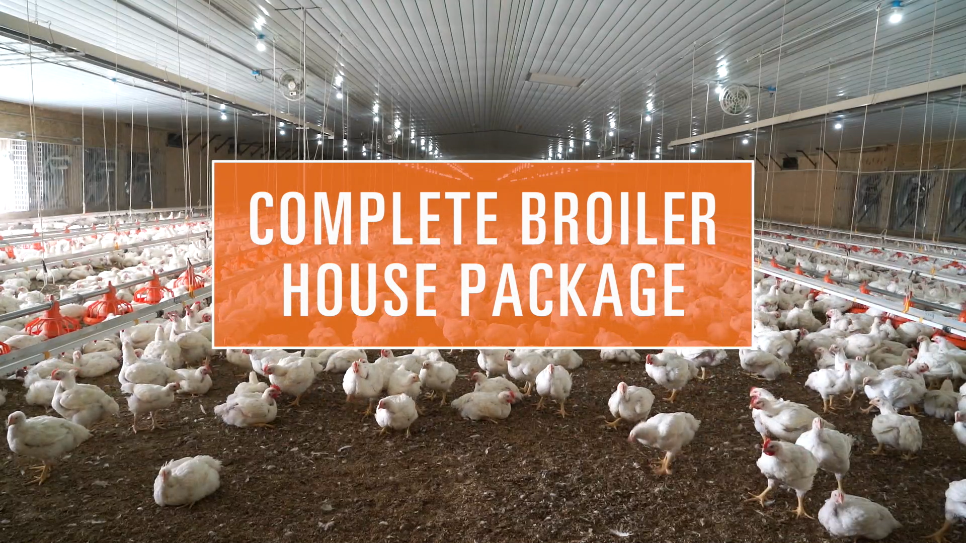 FLUXX Feed Pan Feeding System Poultry Feed Pans Big Dutchman