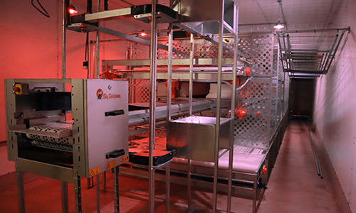 avairy system