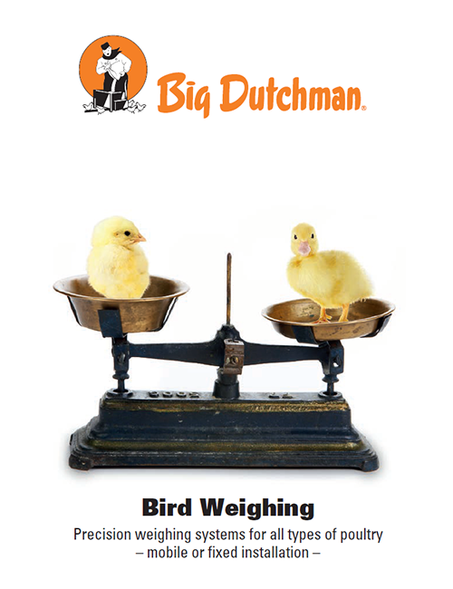 Bird weighing - Big Dutchman